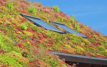 Hartfield living roof systems